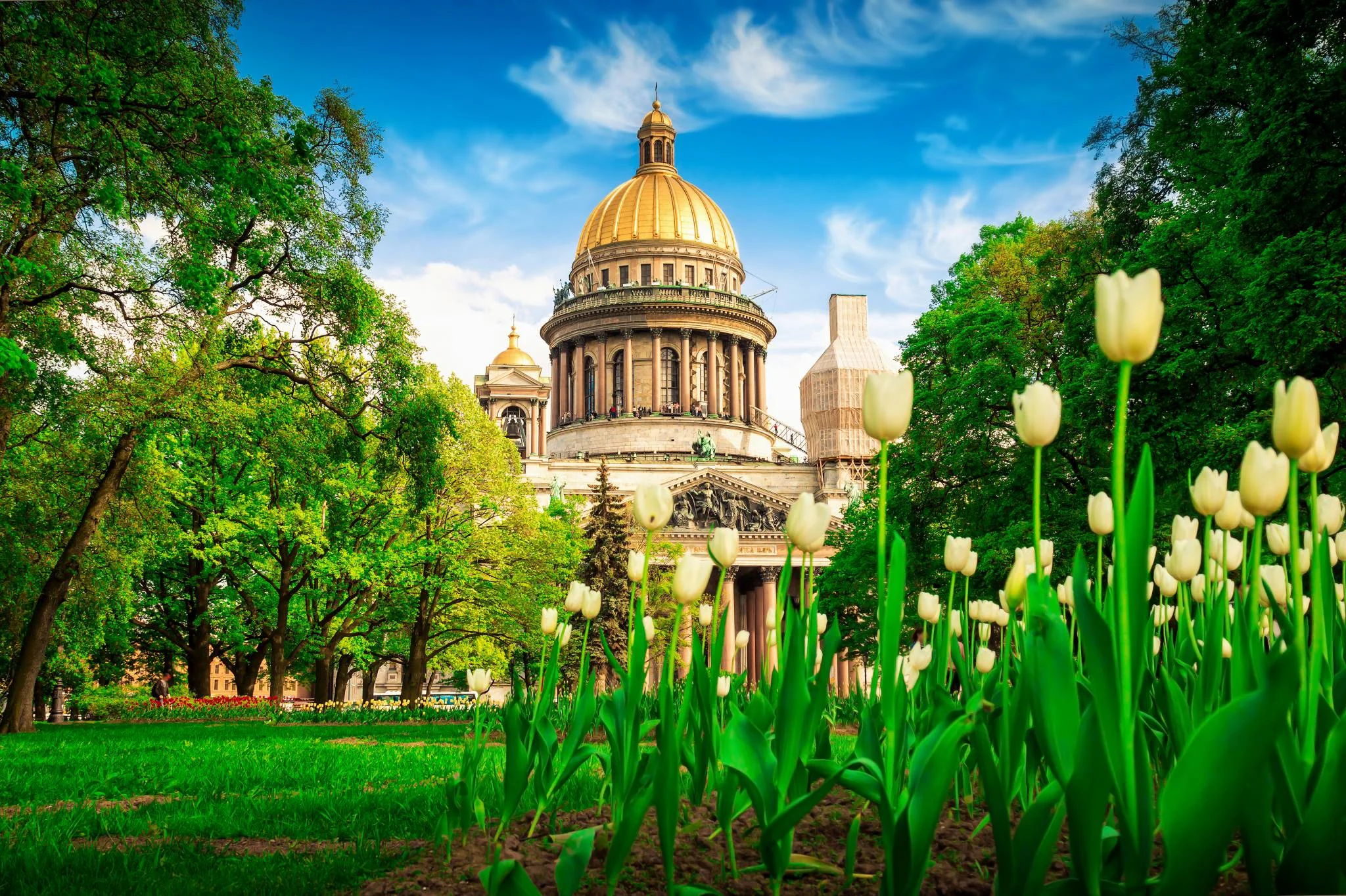 исаакиевский собор сирень